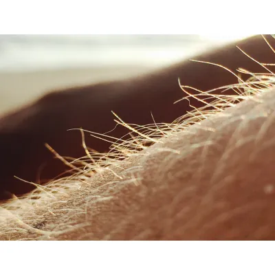 Argan Shine Hair Oil